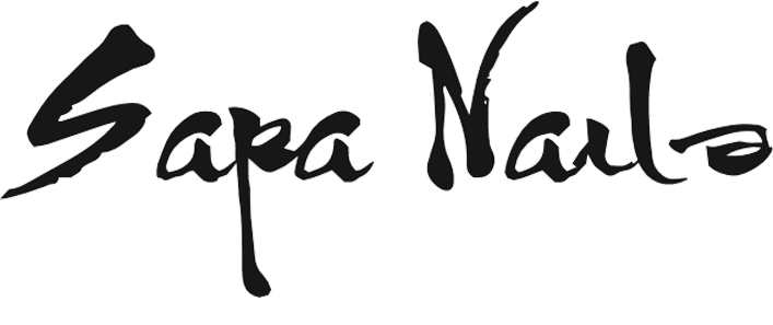 Metronic logo